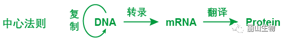 640.png 640.png