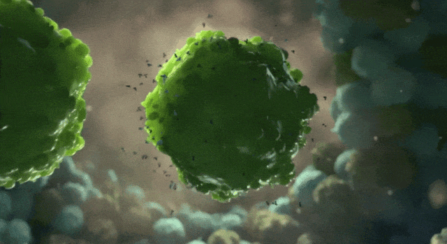 微信图片_20231222110047.gif