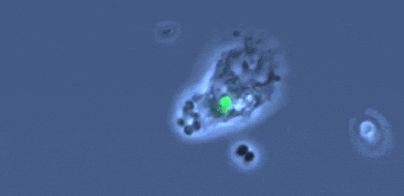 微信图片_20231222110055.gif