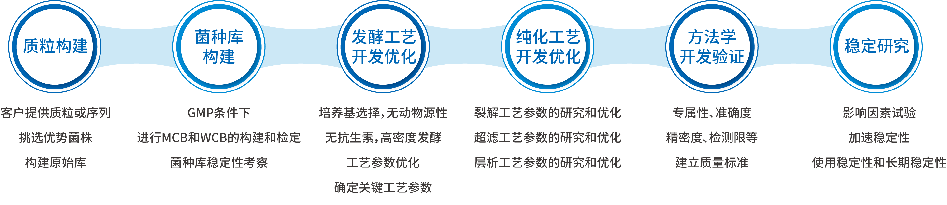 GMP质粒工艺开发标准流程.png