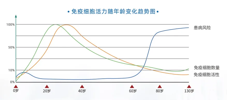 1740399787248.jpg