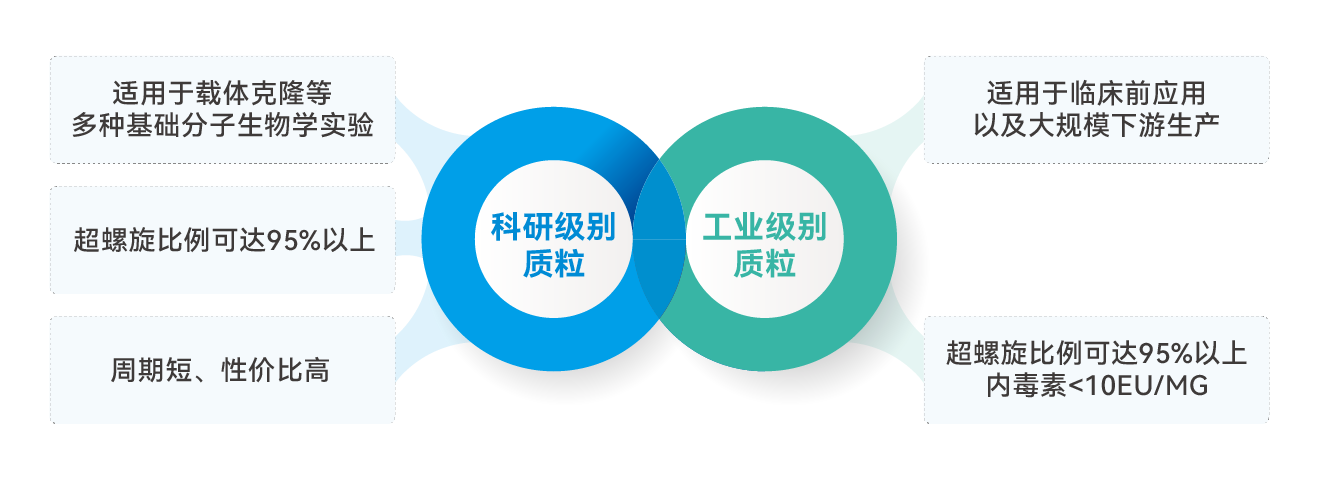网站_质粒图标.png