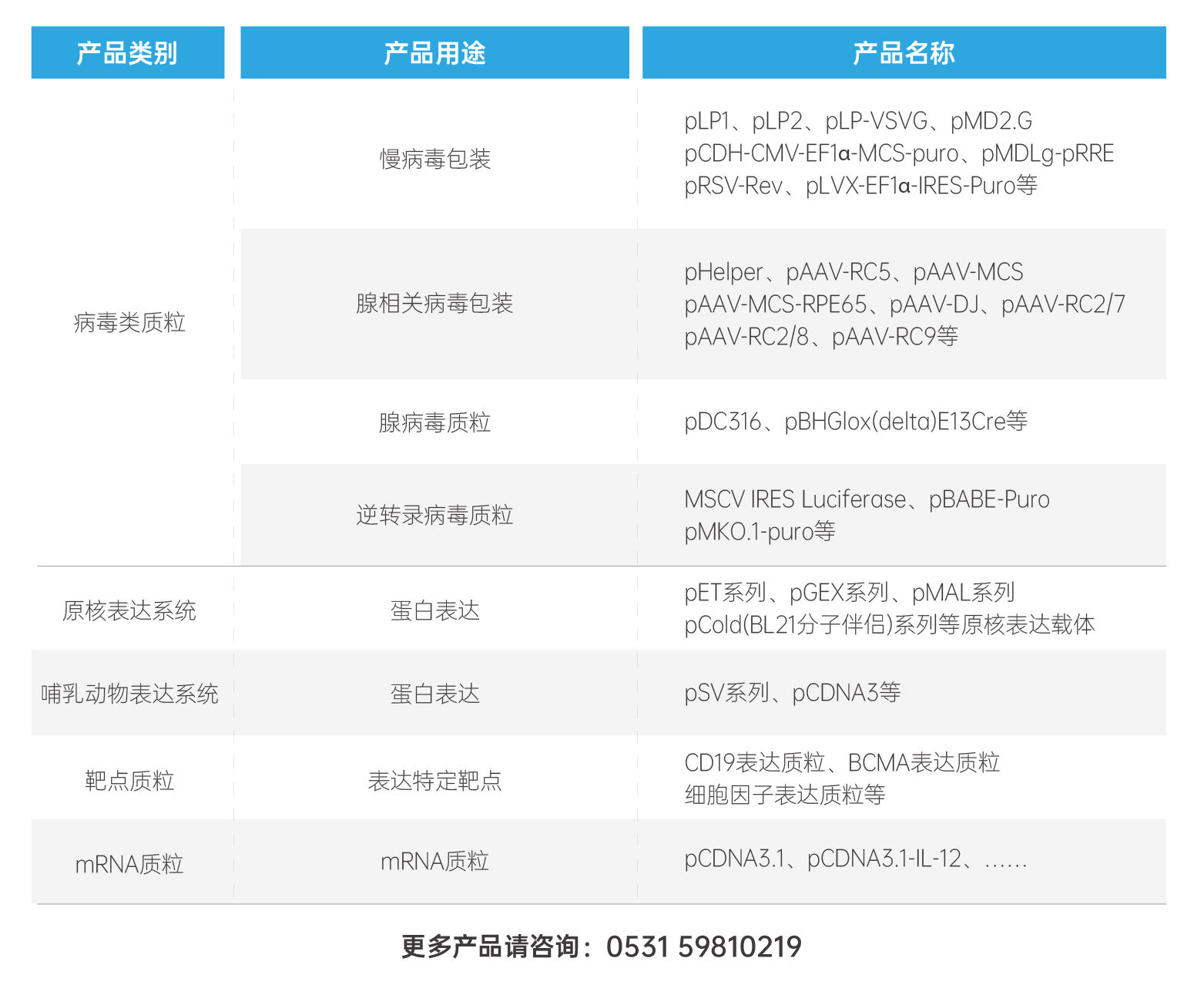 网站_质粒.png